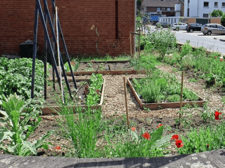 2024_01_BunteBeete-Auszeichnung