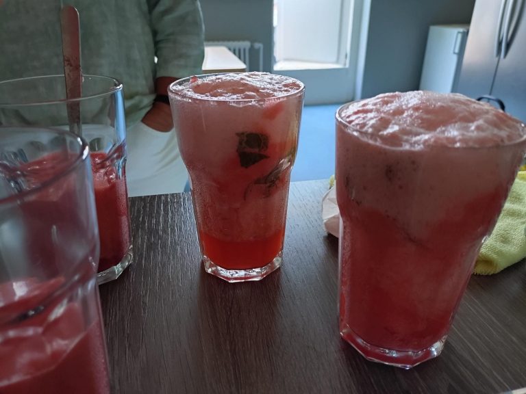 Erdbeeren__006